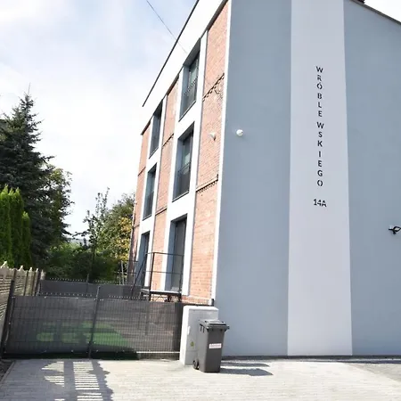 Katowice Chorzow Park Stadion Slaski Apartmenty Siemianowice Slaskie